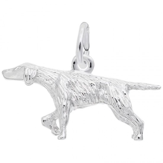 https://www.brianmichaelsjewelers.com/upload/product/0148-Silver-Pointer-RC.jpg