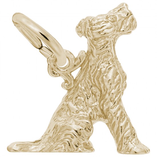 https://www.brianmichaelsjewelers.com/upload/product/0171-Gold-Terrier-RC.jpg