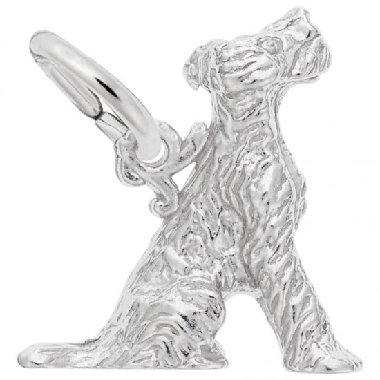 https://www.brianmichaelsjewelers.com/upload/product/0171-Silver-Terrier-RC.jpg