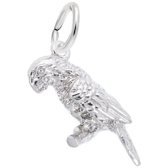 https://www.brianmichaelsjewelers.com/upload/product/0244-Silver-Parrot-RC.jpg
