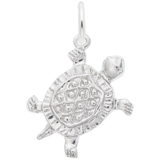 https://www.brianmichaelsjewelers.com/upload/product/0530-Silver-Turtle-RC.jpg