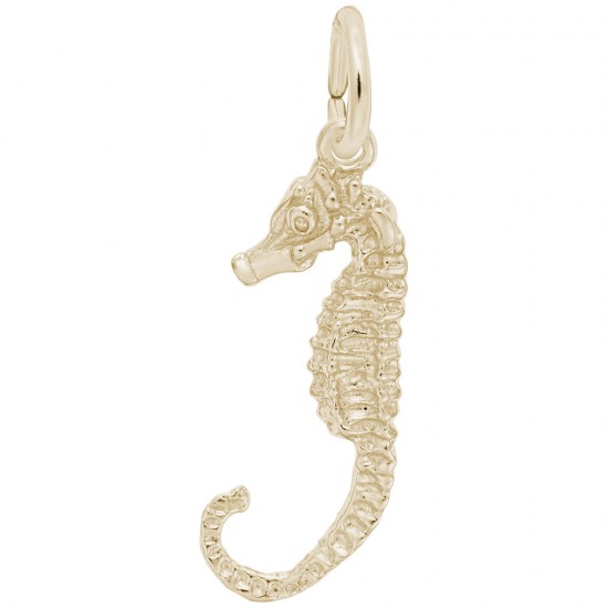 https://www.brianmichaelsjewelers.com/upload/product/0534-Gold-Seahorse-RC.jpg