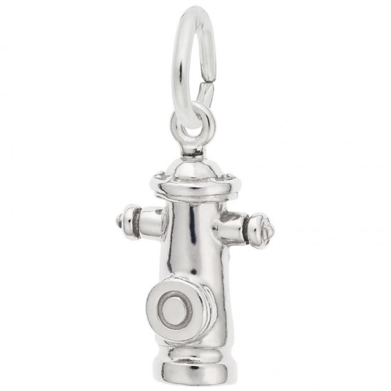 https://www.brianmichaelsjewelers.com/upload/product/2311-Silver-Fire-Hydrant-RC.jpg
