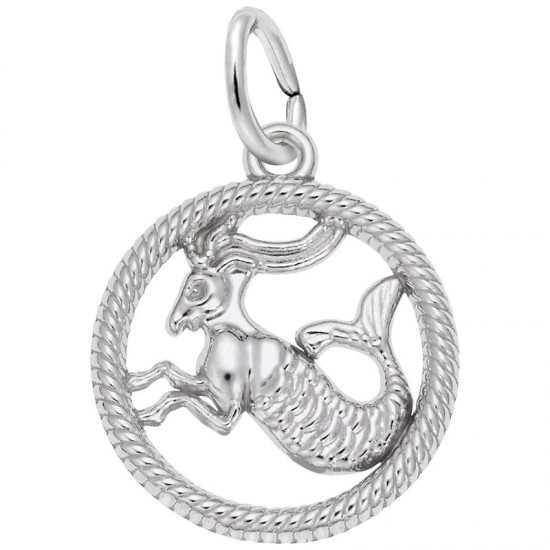 https://www.brianmichaelsjewelers.com/upload/product/4782-Silver-Capricorn-RC.jpg