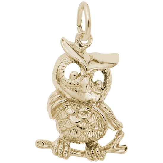 https://www.brianmichaelsjewelers.com/upload/product/5335-Gold-Owl-RC.jpg