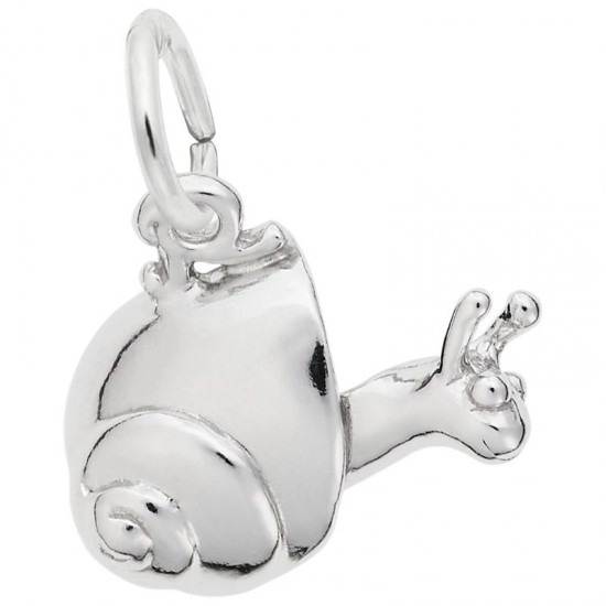 https://www.brianmichaelsjewelers.com/upload/product/5464-Silver-Snail-RC.jpg