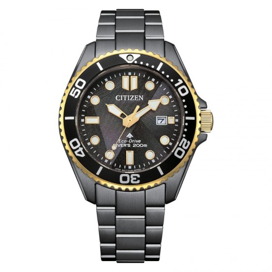 Citizen Promaster Eco Men's Watch, Stainless Steel Black - BN0264-53E