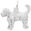 Labradoodle