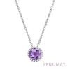 February Birthstone Necklace