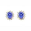 14K Yellow Gold Tanzanite Gemstone Earrings