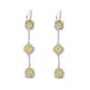 Platinum Diamond Gemstone Earrings