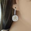 Platinum Diamond Gemstone Earrings
