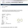 18K White Gold Diamond Gemstone Earrings