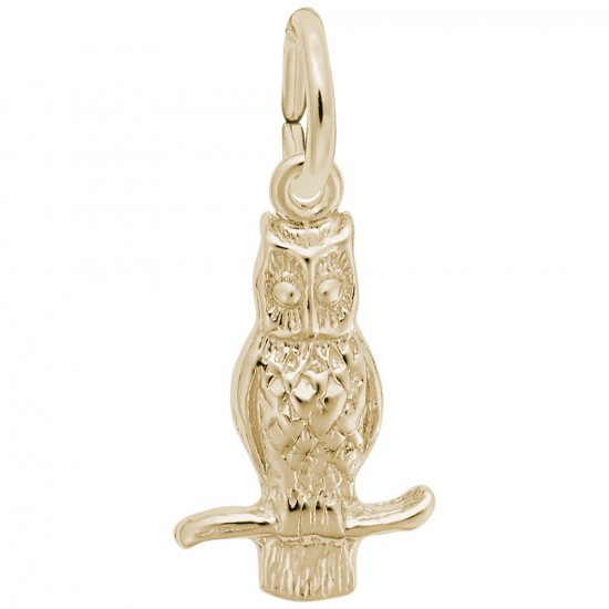 https://www.brianmichaelsjewelers.com/upload/product/0360-Gold-Owl-RC.jpg