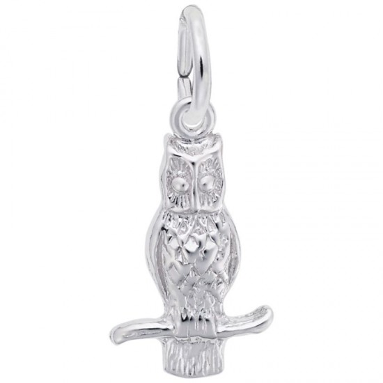 https://www.brianmichaelsjewelers.com/upload/product/0360-Silver-Owl-RC.jpg