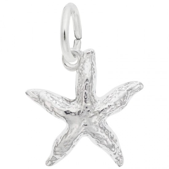 https://www.brianmichaelsjewelers.com/upload/product/0533-Silver-Starfish-RC.jpg