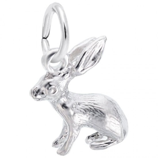https://www.brianmichaelsjewelers.com/upload/product/0577-Silver-Bunny-RC.jpg