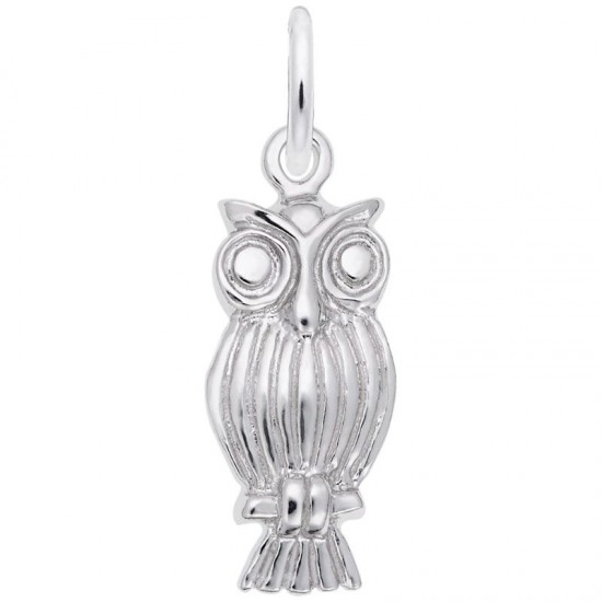 https://www.brianmichaelsjewelers.com/upload/product/0890-Silver-Owl-RC.jpg