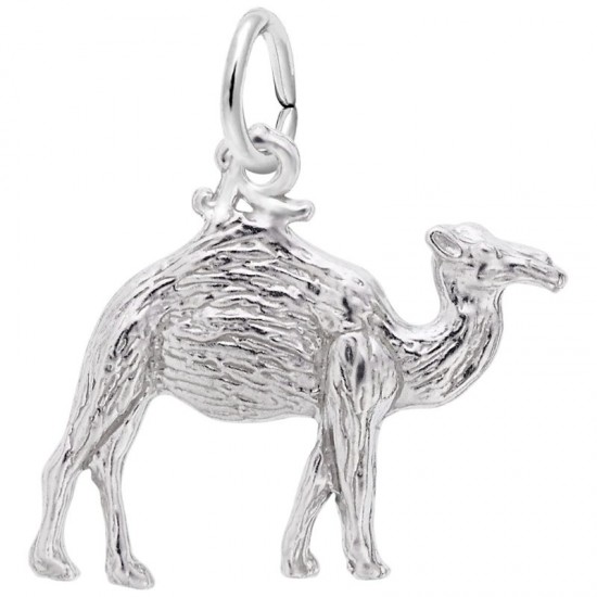 https://www.brianmichaelsjewelers.com/upload/product/1163-Silver-Camel-RC.jpg