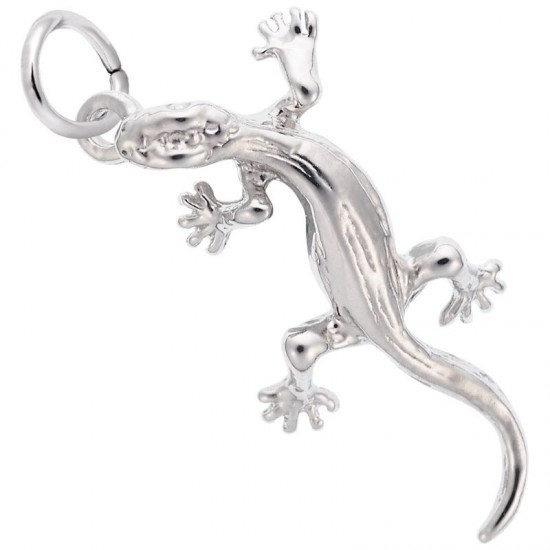 https://www.brianmichaelsjewelers.com/upload/product/1669-Silver-Lizard-RC.jpg