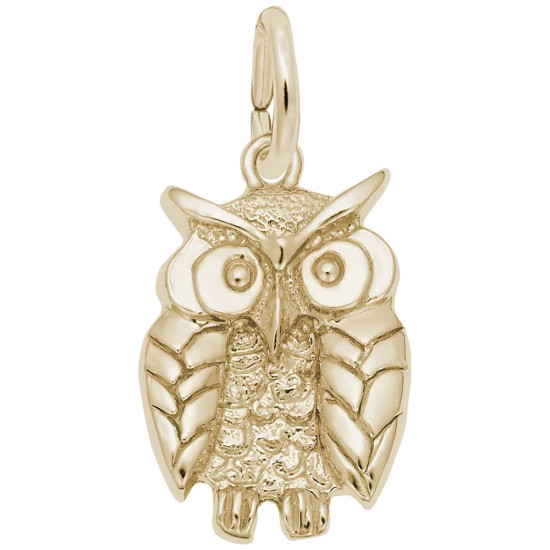 https://www.brianmichaelsjewelers.com/upload/product/1673-Gold-Wise-Owl-RC.jpg