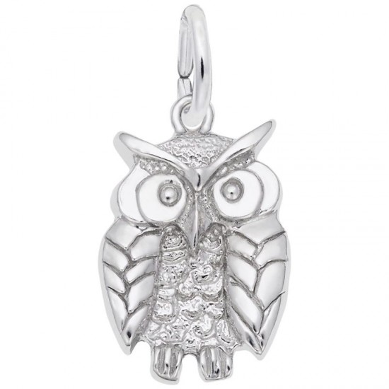 https://www.brianmichaelsjewelers.com/upload/product/1673-Silver-Wise-Owl-RC.jpg