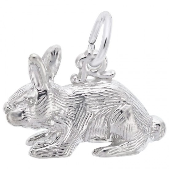 https://www.brianmichaelsjewelers.com/upload/product/2264-Silver-Rabbit-RC.jpg