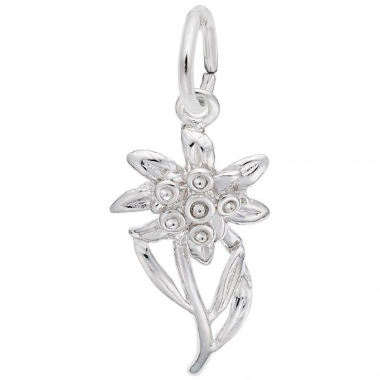 https://www.brianmichaelsjewelers.com/upload/product/2339-Silver-Edelweiss-RC.jpg