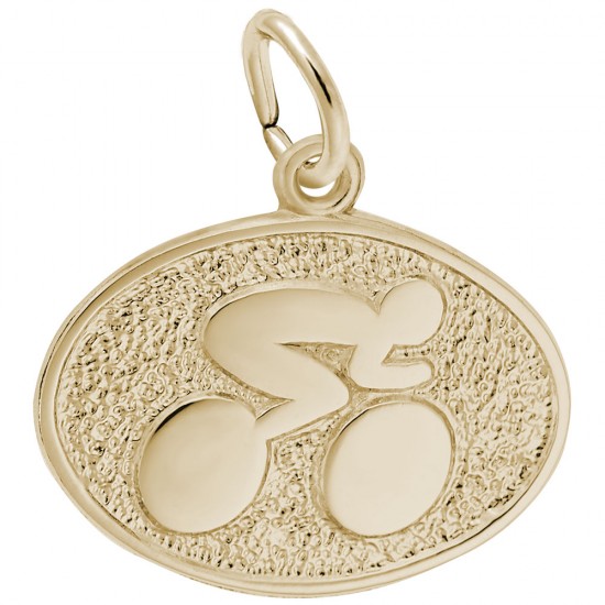 https://www.brianmichaelsjewelers.com/upload/product/2669-Gold-Cyclist-RC.jpg