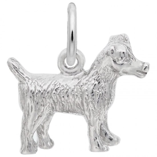 https://www.brianmichaelsjewelers.com/upload/product/3351-Silver-Jack-Russell-Terrier-RC.jpg