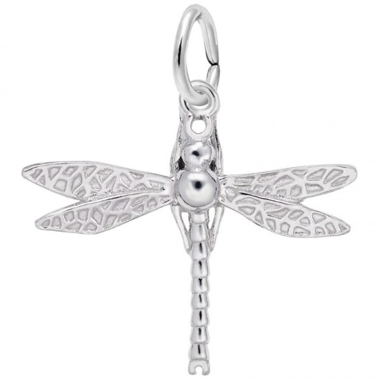 https://www.brianmichaelsjewelers.com/upload/product/3693-Silver-Dragonfly-RC.jpg
