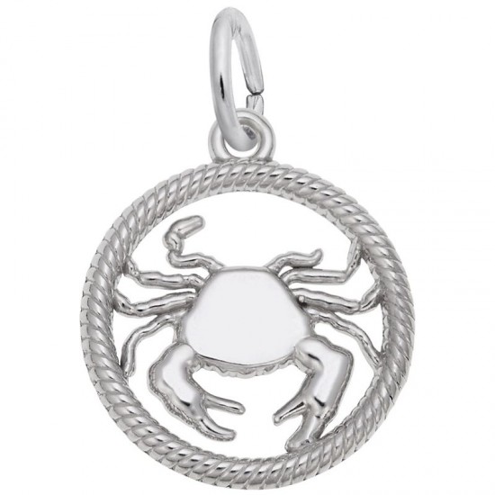 https://www.brianmichaelsjewelers.com/upload/product/4776-Silver-Cancer-RC.jpg