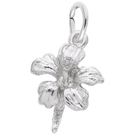 https://www.brianmichaelsjewelers.com/upload/product/5155-Silver-Hibiscus-RC.jpg
