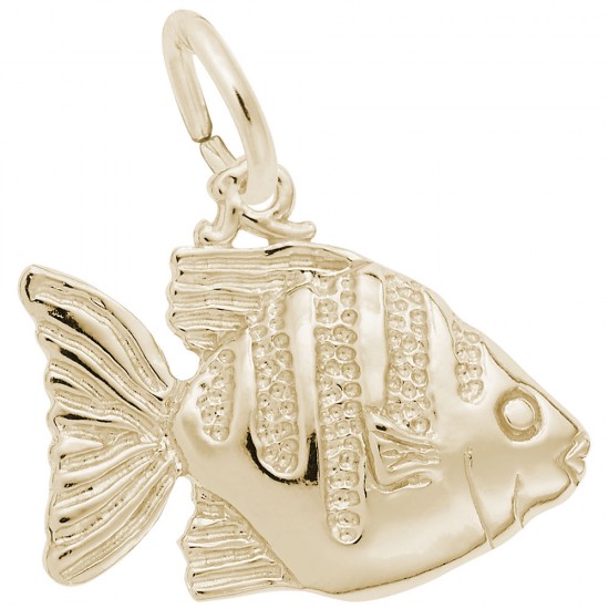 https://www.brianmichaelsjewelers.com/upload/product/5311-Gold-Angelfish-RC.jpg