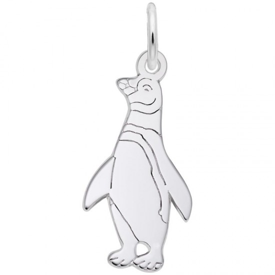 https://www.brianmichaelsjewelers.com/upload/product/6203-Silver-Penguin-RC.jpg
