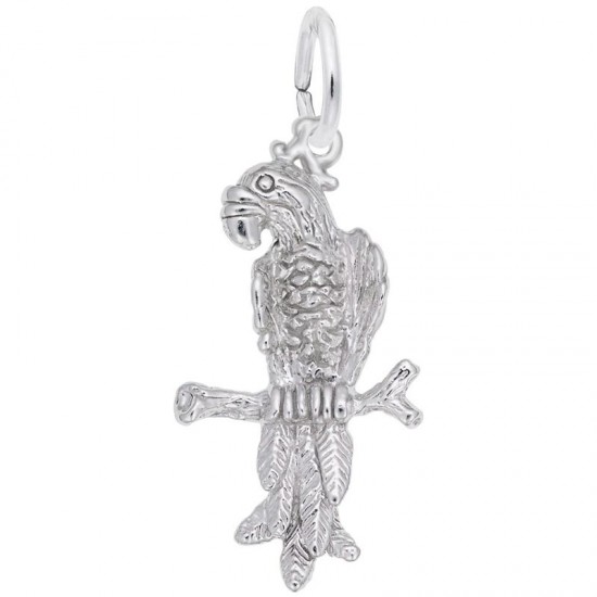 https://www.brianmichaelsjewelers.com/upload/product/6487-Silver-Parrot-RC.jpg