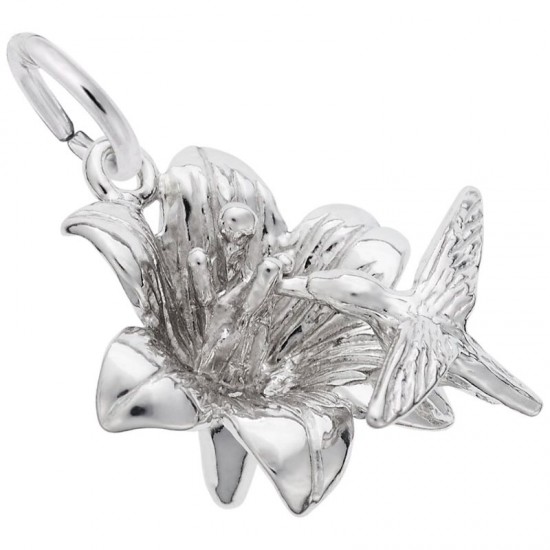 https://www.brianmichaelsjewelers.com/upload/product/7770-Silver-Hibiscus-W-Hummingbird-RC.jpg