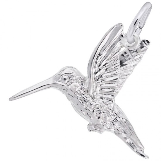 https://www.brianmichaelsjewelers.com/upload/product/7900-Silver-Hummingbird-RC.jpg