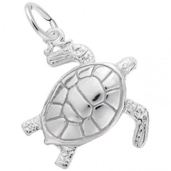 https://www.brianmichaelsjewelers.com/upload/product/8173-Silver-Sea-Turtle-RC.jpg