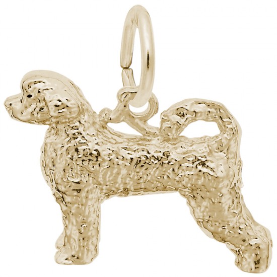 https://www.brianmichaelsjewelers.com/upload/product/8356-Gold-Portuguese-Water-Dog-RC.jpg