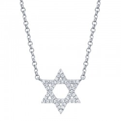 0.11ct 14k White Gold Diamond Star of David Necklace