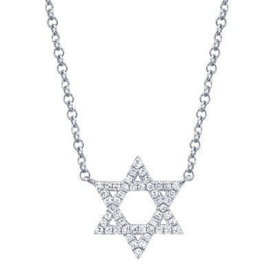 0.11ct 14k White Gold Diamond Star of David Necklace
