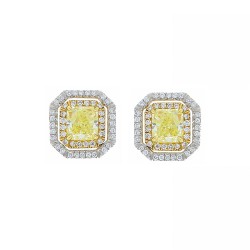 Platinum/Yellow Gold Diamond Gemstone Earrings