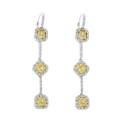 Platinum Diamond Gemstone Earrings