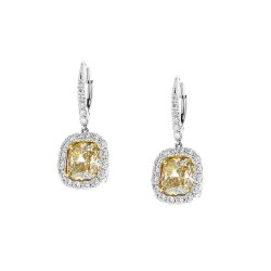 Platinum Diamond Gemstone Earrings